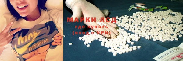 гашик Бородино
