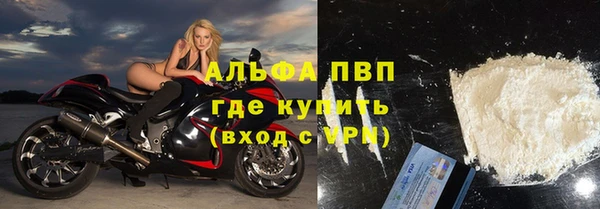 гашик Бородино
