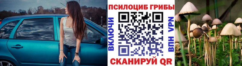 закладка  Лихославль  Псилоцибиновые грибы ЛСД 